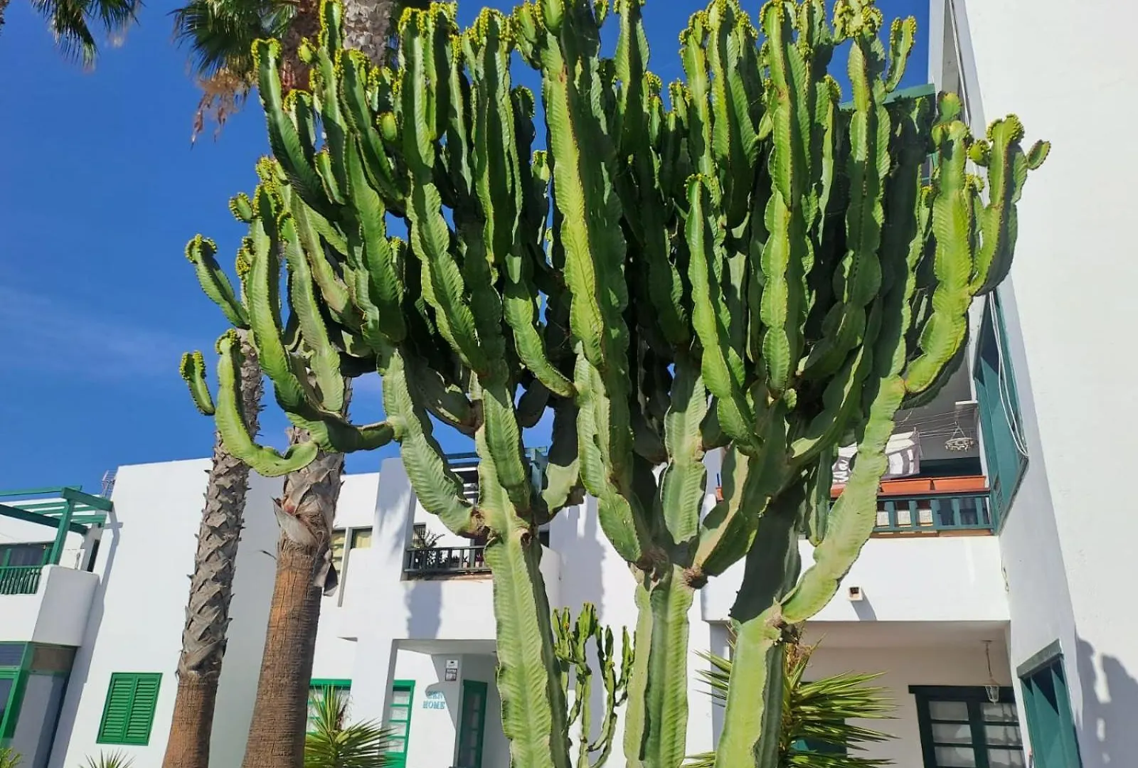 公寓 Azul Tuscan Playa Y Piscina 科斯塔特吉塞